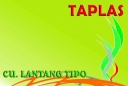 Buku Taplas